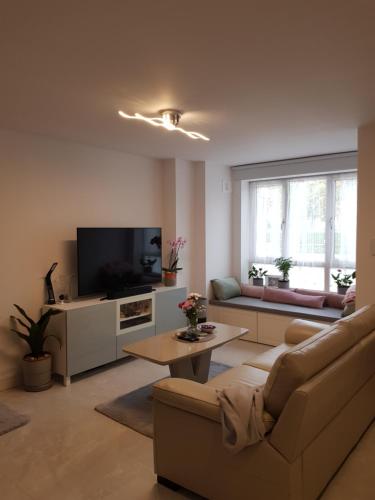 a living room with a couch and a tv at Barnoaks House - Private Room Ensuite Bathroom HomeStay in Dublin