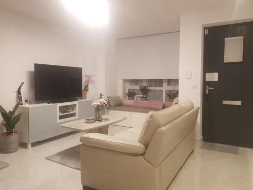 a living room with a chair and a television at Barnoaks House - Private Room Ensuite Bathroom HomeStay in Dublin