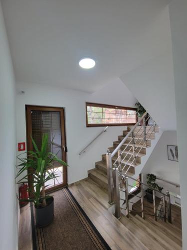 a staircase in a house with a potted plant at Eleon Motel in Brezovicë