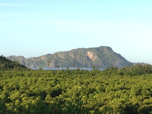 a mountain in the middle of a field with trees at La Estancia Busuanga in Busuanga