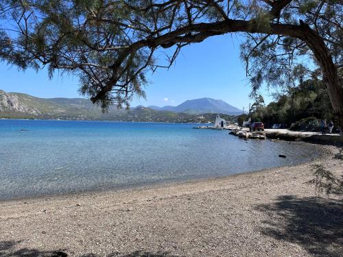 a beach with a tree and the water at Topos luxury stay Heraion in Loutraki