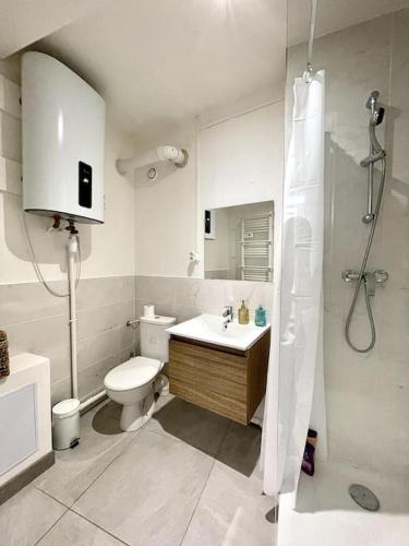 une salle de bain avec toilettes, lavabo et douche dans l'établissement Le Nacre 24 - Bourg-de-Péage, à Bourg-de-Péage