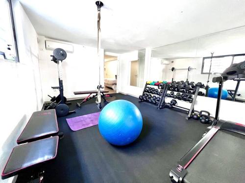 a gym with a large blue ball in the middle at Peaceful 3 Bedroom apartment in Athens center in Athens