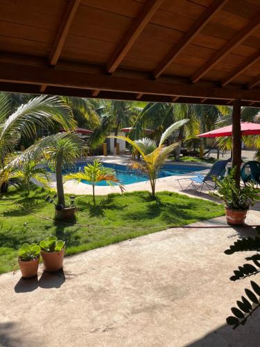 un patio avec des plantes en pot et une piscine dans l'établissement Cabañas vero, à Caleta de Campos