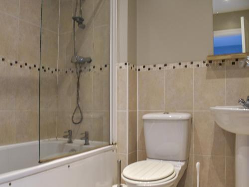 a bathroom with a toilet and a shower and a sink at Meadow Walk in Sudbury