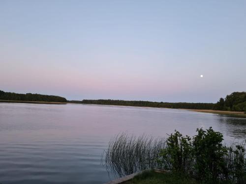 a large body of water with trees in the background at Traumhaftes Ferienhaus am See am Lübbesee in Templin in Templin