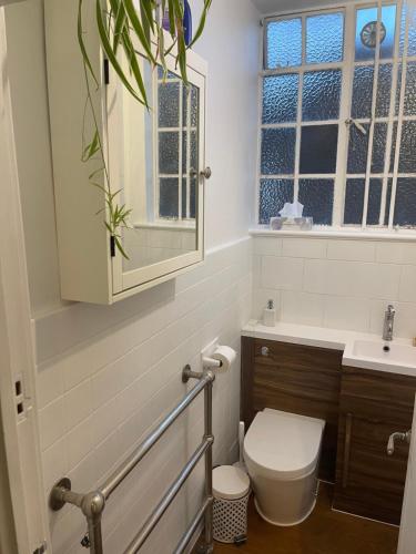 a bathroom with a toilet and a sink and a mirror at Chelsea Manor Studio in London