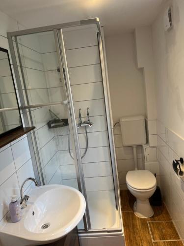 a bathroom with a shower and a toilet and a sink at Ferienwohnung Am Langenberg in Hitzacker