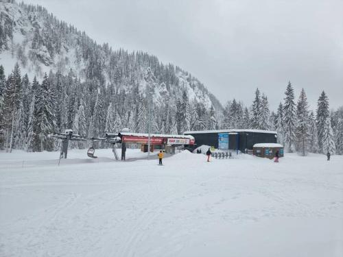 a group of people standing in a snow covered field at Apartman ED in Jahorina