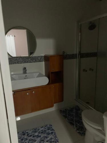 a bathroom with a sink and a toilet and a mirror at TOWNHOUSE GET-a-WAY in Mandeville