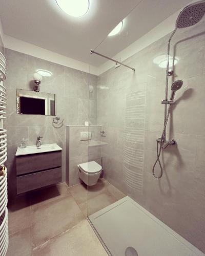 une salle de bain avec une douche, des toilettes et un lavabo dans l'établissement Apartment and rooms Maraton, à Kranjska Gora