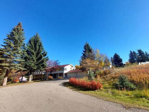 a house on a street with trees and a driveway at Green Village in Calgary