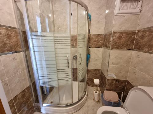 a bathroom with a shower and a toilet at Maltepe, Cevizli cozy apt in Istanbul