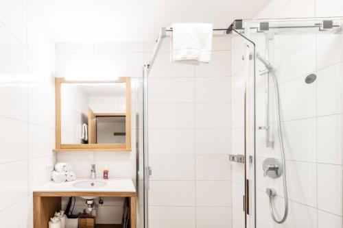 uma casa de banho com um chuveiro e um lavatório. em Berg Aparts Faschina - 09 - em Fontanella
