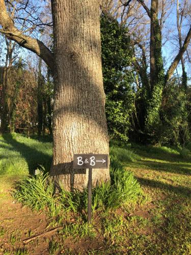 a sign in front of a tree in a park at The Wash-House historic Cottage Close to Hobbiton in Matamata