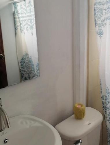uma casa de banho com um WC, um lavatório e um espelho. em Hospedaje MV em Coto Brus