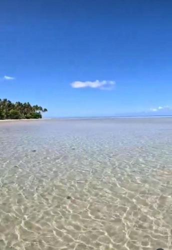 a beach with sand and trees in the water at Flat de Irinha Moreré in Cayru
