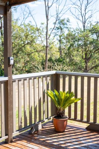 a potted plant sitting on a wooden deck at Barrington Riverside Cottages in Barrington
