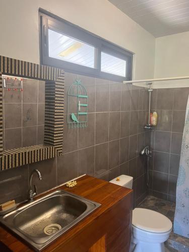 een badkamer met een wastafel, een toilet en een raam bij Mataiea Villa view in Mataiea