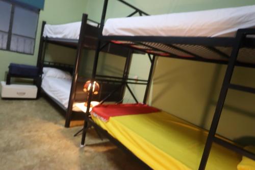 Un ou plusieurs lits superposés dans un hébergement de l'établissement Krishna Guest House