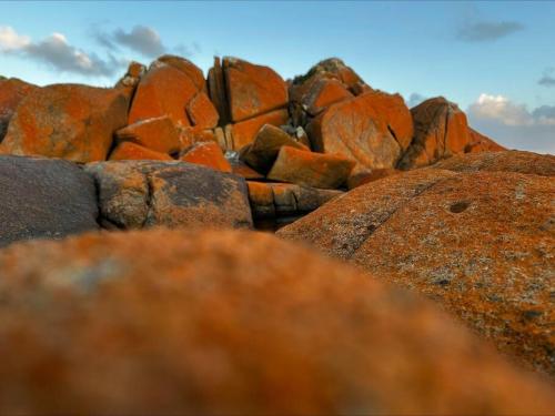 a pile of red rocks sitting next to each other at Red Rock Hut, King Island in Yambacoona