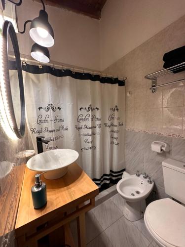 a bathroom with a sink and a toilet and a shower curtain at La Aldea in Villa Allende