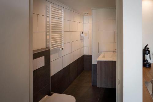 費爾德霍溫的住宿－Het Denneke，一间带卫生间和水槽的浴室