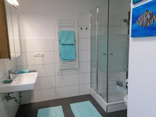 a bathroom with a shower and a sink at Apartment Anna im Mostviertel in Seitenstetten Markt