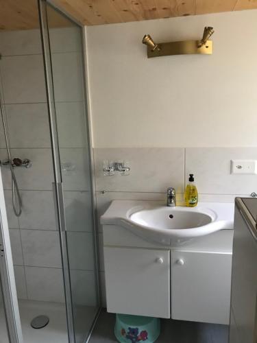 La salle de bains est pourvue d'un lavabo et d'une douche. dans l'établissement Bijou 2 hübsche 1 Zimmer Wohnung, à Herisau