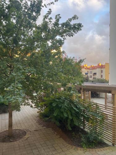 a tree on a balcony with a building at Lägenhet i sekelskifteshus centrala Kalmar in Kalmar