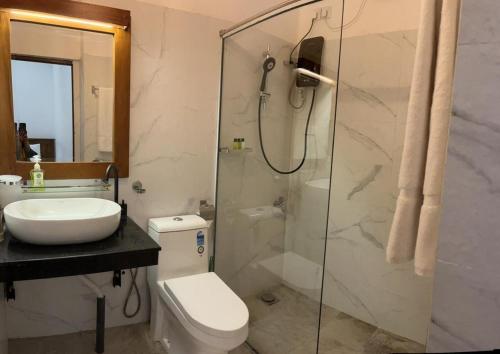 a bathroom with a shower and a toilet and a sink at Tailors Cottage in Hatton