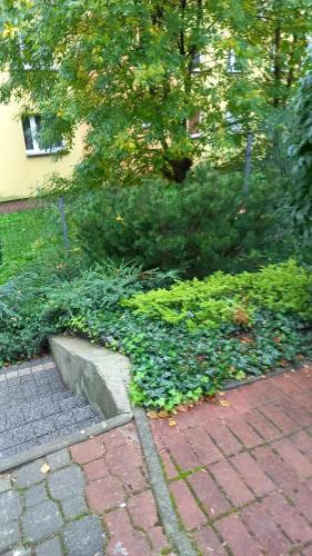 a garden with green plants next to a brick sidewalk at Kora in Sosnowiec