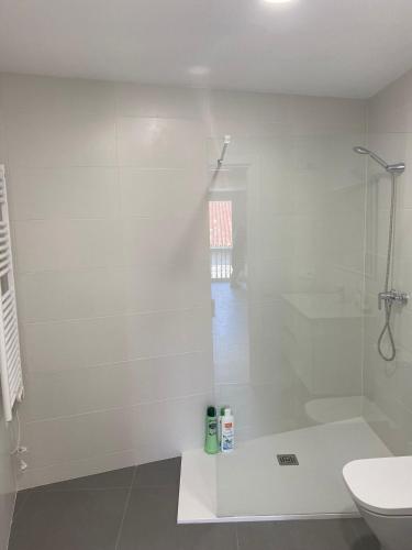a white bathroom with a shower and a toilet at Apartamento en el Centro in Igualada