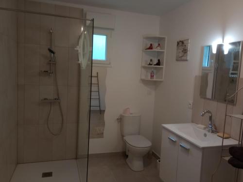 a bathroom with a shower and a toilet and a sink at La Cour Angot in Cormeilles