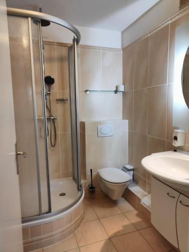 a bathroom with a shower and a toilet and a sink at Apartment Bergzauber - traumhafter Ausblick & Pool in Braunlage