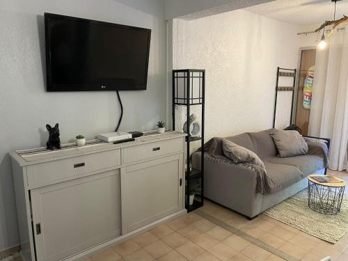 Televízia a/alebo spoločenská miestnosť v ubytovaní Appartement T2 46m2 avec grande terrasse