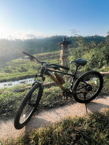 Bali Palmsの敷地内または近くで楽しめるサイクリング