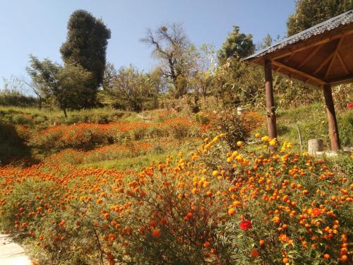 a field of flowers in a garden with a gazebo at Francolin Lodge-Farmstay @ Darima in Mukteswar