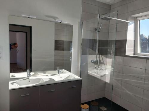 une salle de bain avec un lavabo et une douche en verre dans l'établissement Appartement Moderne hyper centre ville 4 chambres, à Auray