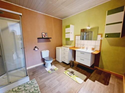 uma casa de banho com um WC, um lavatório e um chuveiro em Le Petit Veternat em Ventron