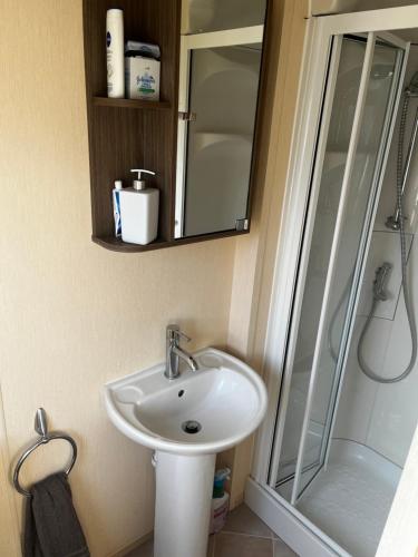 a bathroom with a sink and a shower at 33 millennium gardens in Whitley Bay