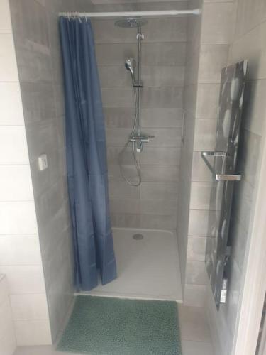 a bathroom with a shower with a blue shower curtain at spacieux T2 confortable in Saint-Vallier