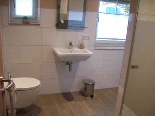 a bathroom with a toilet and a sink at Ferienoase im Zottbachtal in Pleystein
