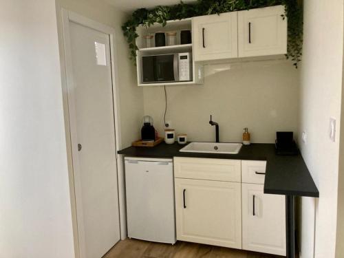 eine weiße Küche mit einer Spüle und einer Mikrowelle in der Unterkunft Studio dans un parc verdoyant in Andrézieux-Bouthéon