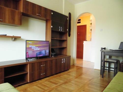 Gallery image of Daria Apartment in Novi Sad