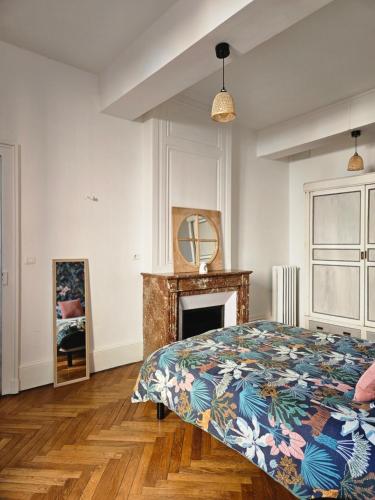 ein Schlafzimmer mit einem Bett und einem Kamin in der Unterkunft Cœur de ville in Bourgoin