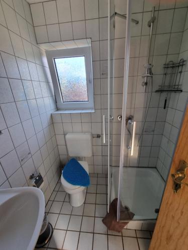 y baño con ducha, aseo y lavamanos. en Ferienwohnung Haffblick, en Westerholz