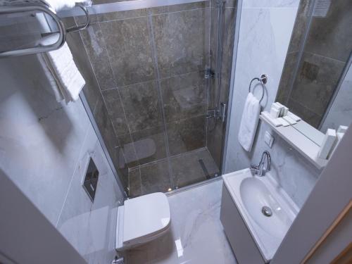 a bathroom with a shower and a toilet and a sink at Moss Hotel YENİKAPI in Istanbul