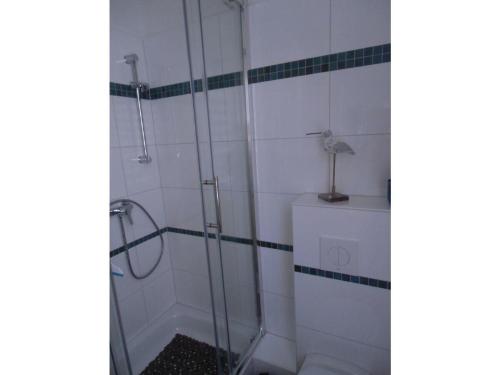 um chuveiro com uma porta de vidro na casa de banho em Ferienwohnung-Bille em Luckenwalde