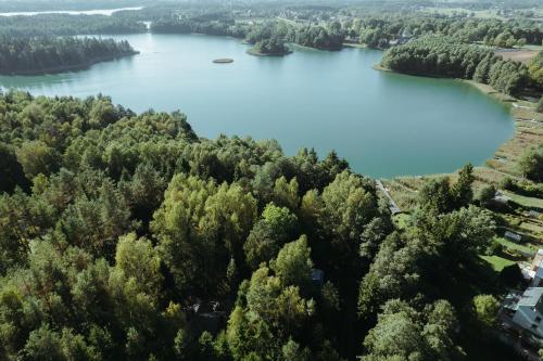 an aerial view of a lake with trees at Dom Suwalszczyzna in Suwałki